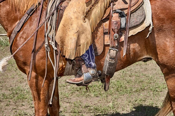 牛仔骑着拉链小牛犊去干活 — 图库照片