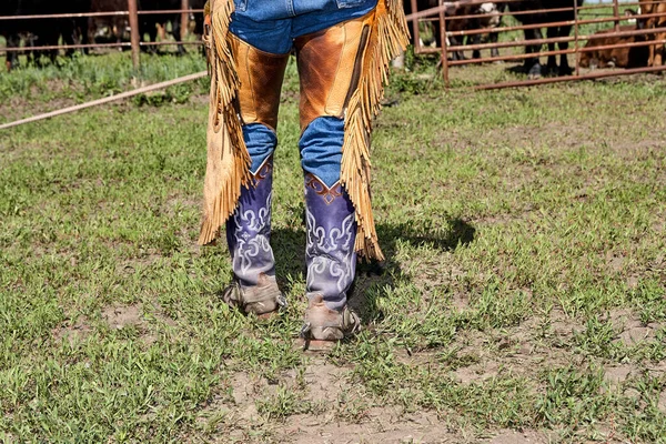 Cowboys Chaps Met Paars Custom Cowboy Laarzen — Stockfoto