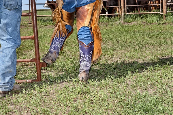 Cowboyok Fiúk Fiúk Lila Egyéni Cowboy Csizma — Stock Fotó