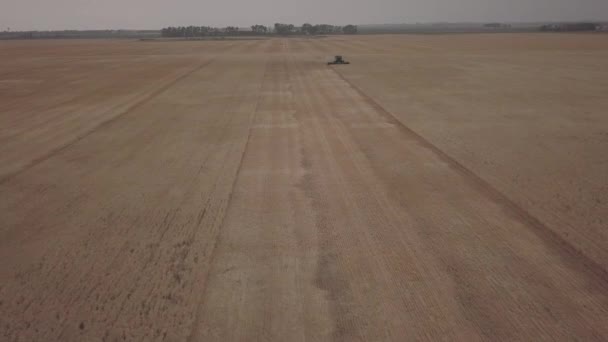 Aerial Footage Green Combine Harvesting Barley North Dakota Summertime — Stock Video
