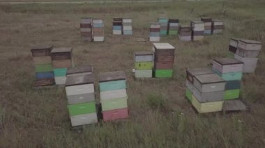 Yeşil havadan çekilen görüntüler Kuzey Dakota 'da yazın arpa hasadını birleştiriyor.