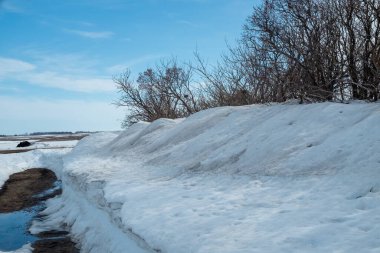 Kar, çıplak kış ağaçlarını mavi gökyüzüyle dolduruyor.