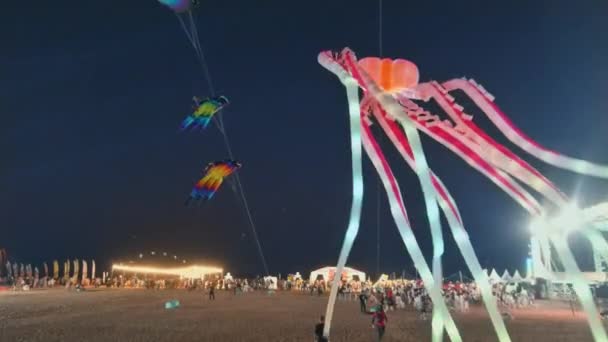 Video Toont Een Betoverend Gezicht Het Thailand Kite Festival Waar — Stockvideo