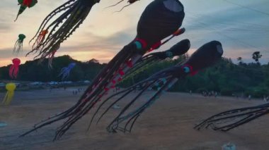 Bu büyüleyici video, Tayland 'da bir uçurtma festivalinde uçan ahtapot uçurtmalarını büyüleyici bir şekilde gösteriyor. Alacakaranlıkta canlı turuncu gökyüzü arkaplanına karşı, karışık bir dizi
