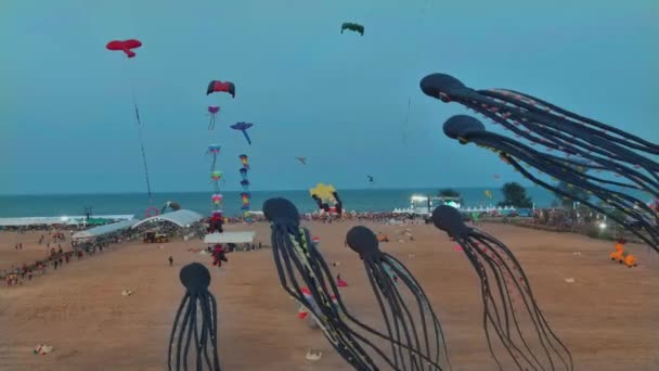 ビデオは 砂浜と海の上空で優雅に踊るタコの形を含む さまざまな色とデザインのキットの魅惑的なディスプレイを示しています フェスティバル — ストック動画