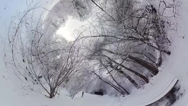 Lugn Promenad Genom Snötäckt Skog Denna 360 Graders Video Den — Stockvideo