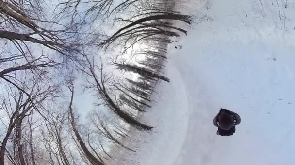 Embárcate Cautivador Viaje Través Sereno Bosque Invierno Este Video Realidad — Vídeos de Stock