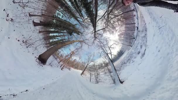 Wyrusz Fascynującą Podróż Przez Spokojny Zimowy Las Tym 360 Stopniowym — Wideo stockowe