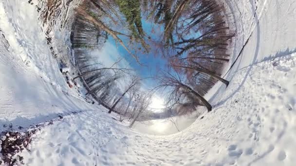 Tegyen Egy Nyugodt Sétát Egy Hófödte Erdőben Ebben 360 Fokos — Stock videók