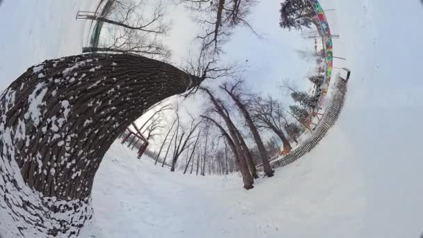 Ξεκινήστε Ένα Μαγευτικό Ταξίδι Μέσα Από Ένα Χιονισμένο Πάρκο Στην — Αρχείο Βίντεο