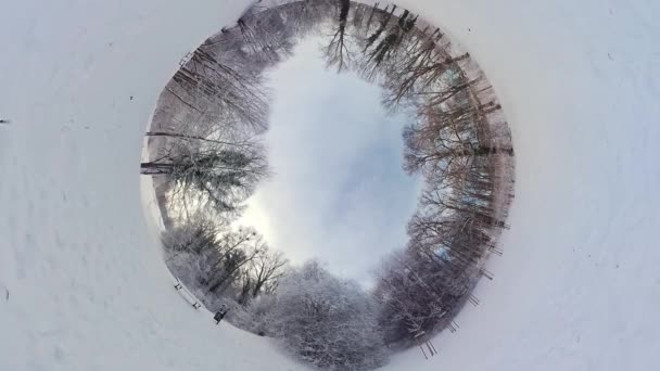 Wyrusz Fascynującą Podróż Przez Zapierający Dech Piersiach Śnieżny Las Tym — Wideo stockowe
