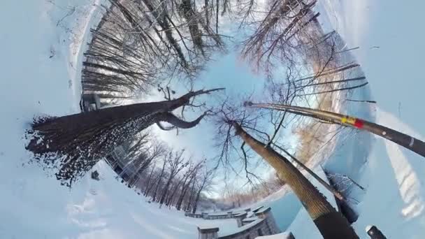 Parti Affascinante Viaggio Attraverso Una Foresta Invernale Mozzafiato Questo Video — Video Stock