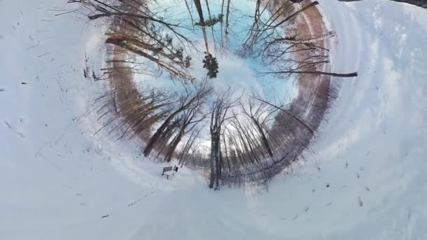 在这个360度的虚拟现实视频中 在宁静的冬季森林中展开迷人的旅程 沉浸在画面中的你将被带到一片雪地里 在那里你会感觉到 — 图库视频影像