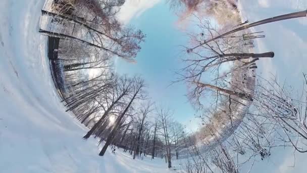 Vydejte Podmanivou Cestu Úchvatným Zimním Lesem Tomto Ponořujícím 360 Stupňovém — Stock video