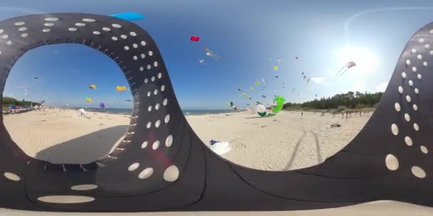 Degree Video Beach Sunny Day Many People Flying Kites Various — Stock Video