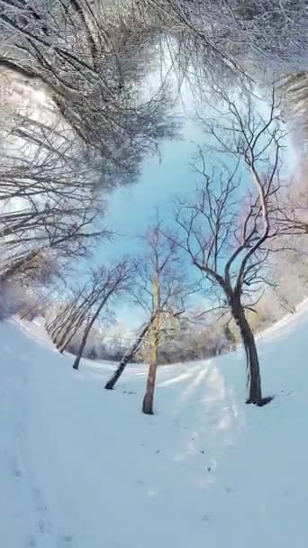 在这个淹没的360度的视频中 在一个宁静的积雪覆盖的森林中展开迷人的旅程 当你踏入一个充满魅力的冬季世界的时候 迷人的冬季景观被赋予了生命力 — 图库视频影像