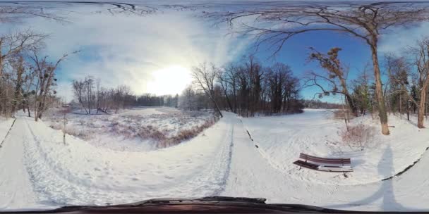 Отправляйтесь Увлекательное Виртуальное Путешествие Безмятежному Зимнему Лесу Этом 360 Градусном — стоковое видео