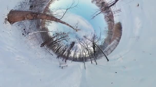 Embárcate Cautivador Viaje Virtual Través Sereno Bosque Cubierto Nieve Este — Vídeos de Stock