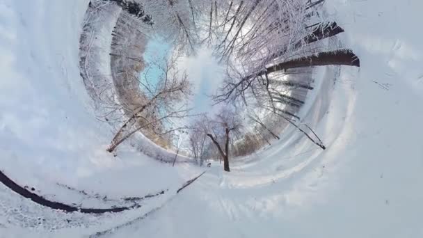 この360度のビデオで雪の多い森を巡る魅惑的な旅に出かけます 没入感のある映像は 雪に覆われた木々と静かな雪があなたを森の中心に運ぶ — ストック動画