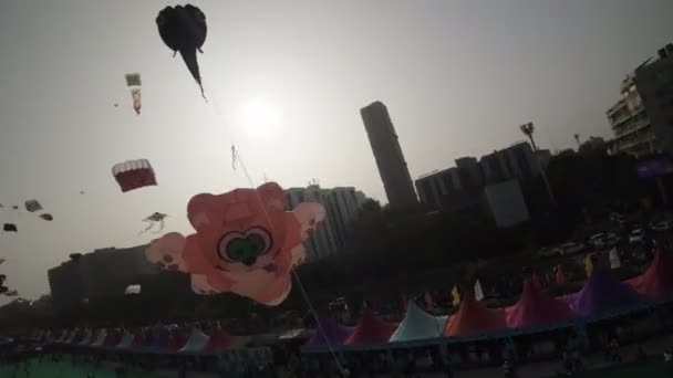Video Muestra Vibrante Animada Atmósfera Del Ahmedabad International Kite Festival — Vídeo de stock