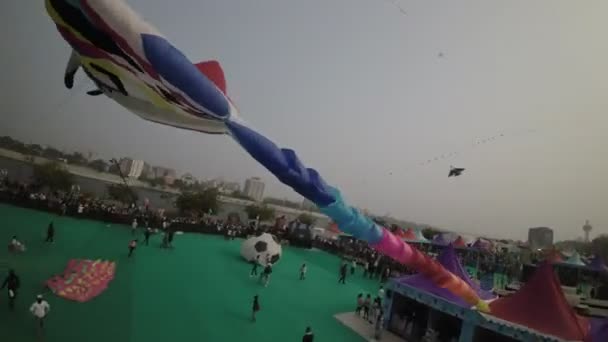 アーメダバード国際カイトフェスティバルは インドのアーメダバードで開催される活気に満ちたカラフルなイベントです フェスティバルは世界中から何千人もの訪問者を魅了し — ストック動画