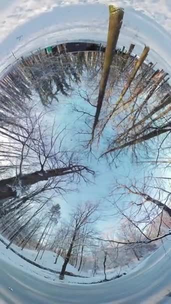 Parti Affascinante Viaggio Attraverso Una Splendida Foresta Invernale Questo Coinvolgente — Video Stock