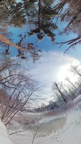 Sanal Turunda Sakin Karlı Bir Ormanda Büyüleyici Bir Yolculuğa Çıkın — Stok video
