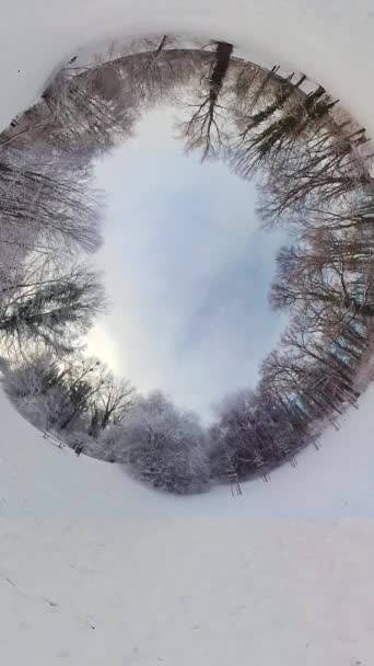360度のバーチャルリアリティビデオで雪の多い森を巡る魅惑的な旅に出かけます 没入型の映像は雪が降る静かな冬の風景の中心にあなたを運びます — ストック動画