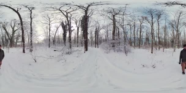 この360度のビデオで穏やかな冬の森を通って魅惑的なバーチャル旅に出かけます 没入感のある映像は 雪に覆われた木々と原始的な森の中心にあなたを運びます — ストック動画