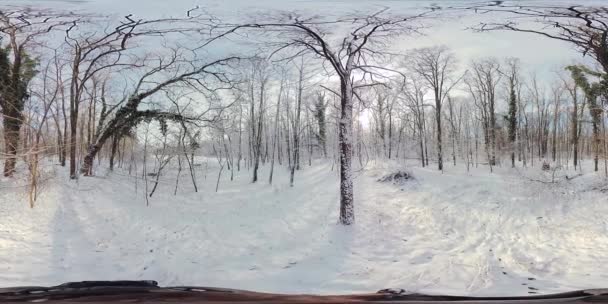 这个360度的视频记录了覆盖着积雪的森林的宁静美丽 观看者被运送到一个冬季的仙境 四周环绕着高高的积雪覆盖的树木和厚厚的积雪 — 图库视频影像