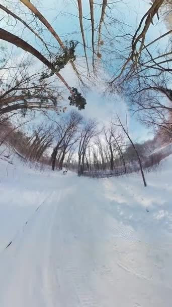 在这个充满魅力的360度的视频中 在一个宁静的冬季森林中展开迷人的旅程 脚下轻柔的积雪和风中光秃秃的树枝的柔和 造就了一种宁静 — 图库视频影像