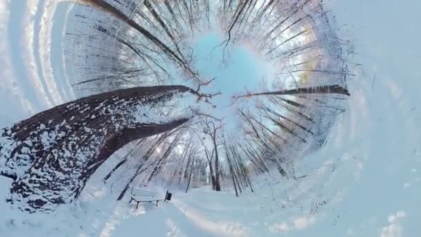 Videon 360 Graders Över Snöig Skog Videon Tagen Perspektivet Person — Stockvideo