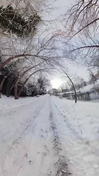 360 Derecelik Videoda Karla Kaplı Parkta Sakin Bir Yürüyüş Yap — Stok video