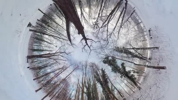 360度のバーチャルリアリティビデオで雪の多い森を巡る魅惑的な旅に出かけます 没入感あふれる映像は あなたを森の中心に運び込んでくれ そこで若々しい感じがする — ストック動画