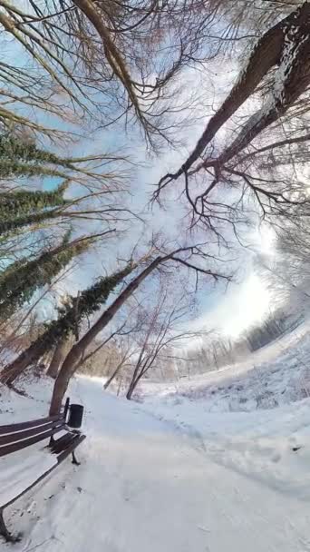 在这个迷人的视频中 你可以在宁静的雪地森林中进行迷人的旅行 迷人的冬季风景装饰着厚厚的积雪 营造出一种神奇的氛围 就像你 — 图库视频影像