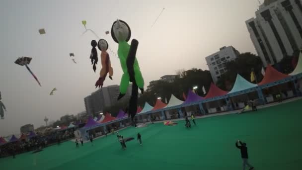 Ahmedabad International Kite Festival Evento Annuale Che Svolge Ahmedabad India — Video Stock