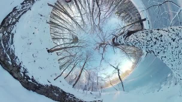 Vydejte Podmanivou Cestu Klidným Zasněženým Lesem Tomto Ponořeném 360 Stupňovém — Stock video