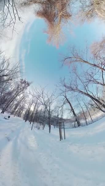 在这个充满魅力的360度的视频中 在一个宁静的冬季森林中展开迷人的旅程 脚下轻柔的积雪和雪地枝条轻轻摇曳 营造出一种宁静 — 图库视频影像