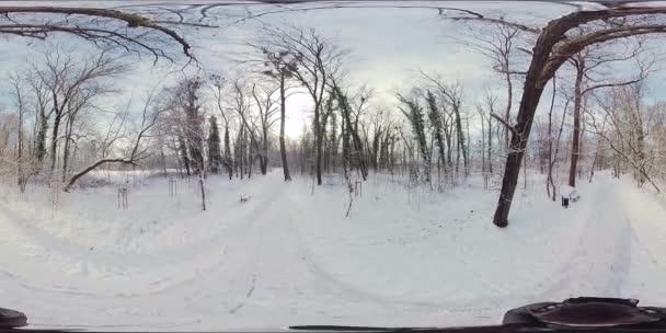 在这段360度的视频中 开始一段迷人的旅程 穿过宁静的冬季森林 迷人的风景展现了一片茂密的光秃秃的树林 上面点缀着厚厚的积雪 形成了一片白雪 — 图库视频影像