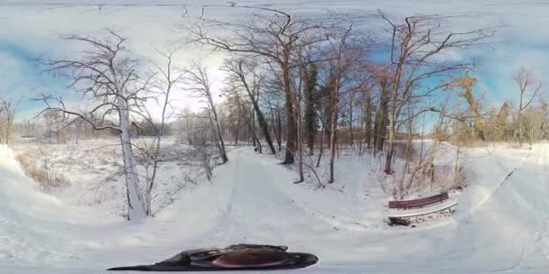 Parti Affascinante Viaggio Virtuale Attraverso Una Serena Foresta Invernale Questo — Video Stock