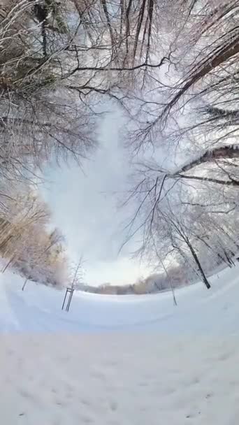 踏上迷人的旅程 穿过宁静的冬季森林 发现一个结冰湖中迷人的美景 这个360度的视频提供了一个真正的沉浸体验 将你送到一个 — 图库视频影像