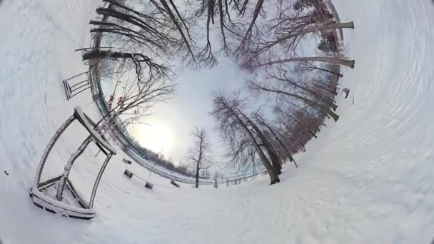 用这个迷人的360度的视频让自己沉浸在迷人的冬天的拥抱中 这个场景在一个宁静的公园里展开 在那里 厚厚的积雪把风景变成了 — 图库视频影像