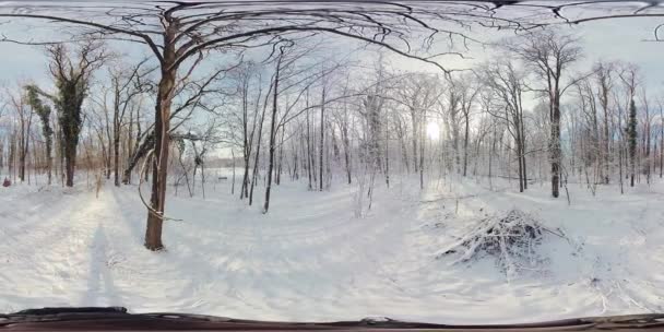 この360度のビデオで穏やかな冬の森を巡る魅惑的な旅に出かけます 没入型の映像は静かな雪に覆われた風景にあなたを運び 歩いているように感じます — ストック動画