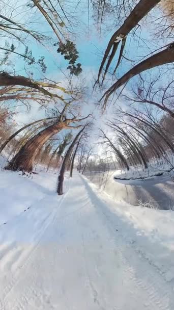 Ξεκινήστε Ένα Μαγευτικό Ταξίδι Μέσα Από Μια Χώρα Θαυμάτων Χειμώνα — Αρχείο Βίντεο