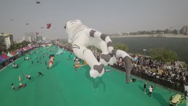 Video Toont Het Levendige Kleurrijke Vliegerfestival Van Uttarayan Ahmedabad India — Stockvideo