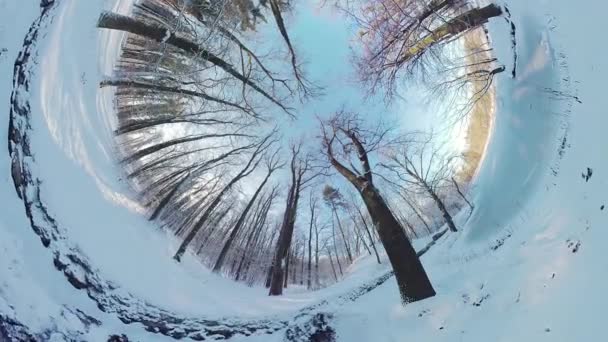 在这个360度的虚拟现实视频中 在宁静的冬季森林中展开迷人的旅程 沉浸在影片中的你被带到了一片白雪覆盖的林地的中心 在那里你会感觉到 — 图库视频影像