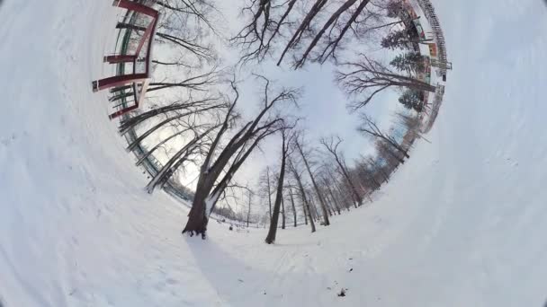 Zanurz Się Urzekającym Zimowym Doświadczeniu Tym 360 Stopniowym Filmem Zaśnieżonym — Wideo stockowe