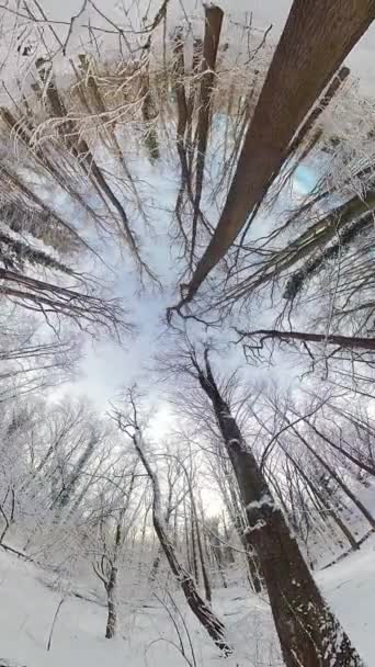 在这段360度的视频中 开始一段迷人的旅程 穿过宁静的冬季森林 迷人的风景展现着白雪覆盖的树木 闪闪发光的雪花和宁静的白雪覆盖着 — 图库视频影像