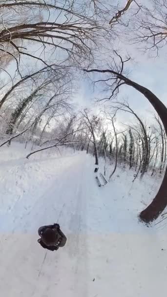 Wyrusz Fascynującą Wirtualną Podróż Przez Spokojny Pokryty Śniegiem Las Tym — Wideo stockowe