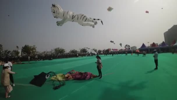 このビデオでは ウッタルヤンフェスティバル中にインドのアーメダバードで開催される活気に満ちたカラフルなアフメダバード国際カイトフェスティバルを展示しています フェスティバルは冬のお祝いです — ストック動画